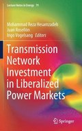 Transmission Network Investment in Liberalized Power Markets