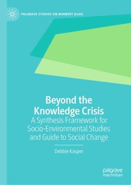 Debbie Kasper - Beyond the Knowledge Crisis, E-bok