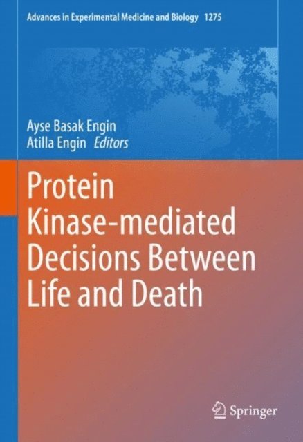 Atilla Engin, Ayse Basak Engin - Protein Kinase-mediated Decisions Between Life and Death, E-bok
