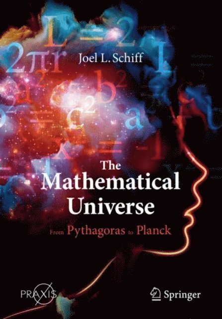Joel L. Schiff - Mathematical Universe, E-bok