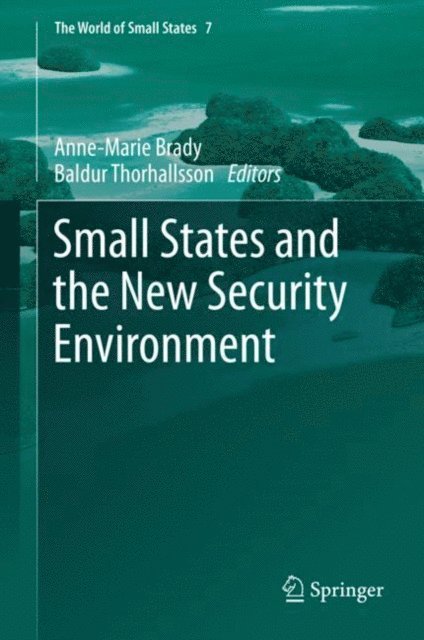 Baldur Thorhallsson, Anne-Marie Brady - Small States and the New Security Environment, E-bok