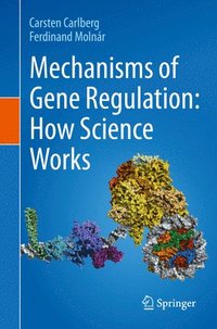 Mechanisms of Gene Regulation: How Science Works