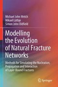 Modelling the Evolution of Natural Fracture Networks