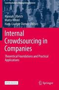 Internal Crowdsourcing in Companies