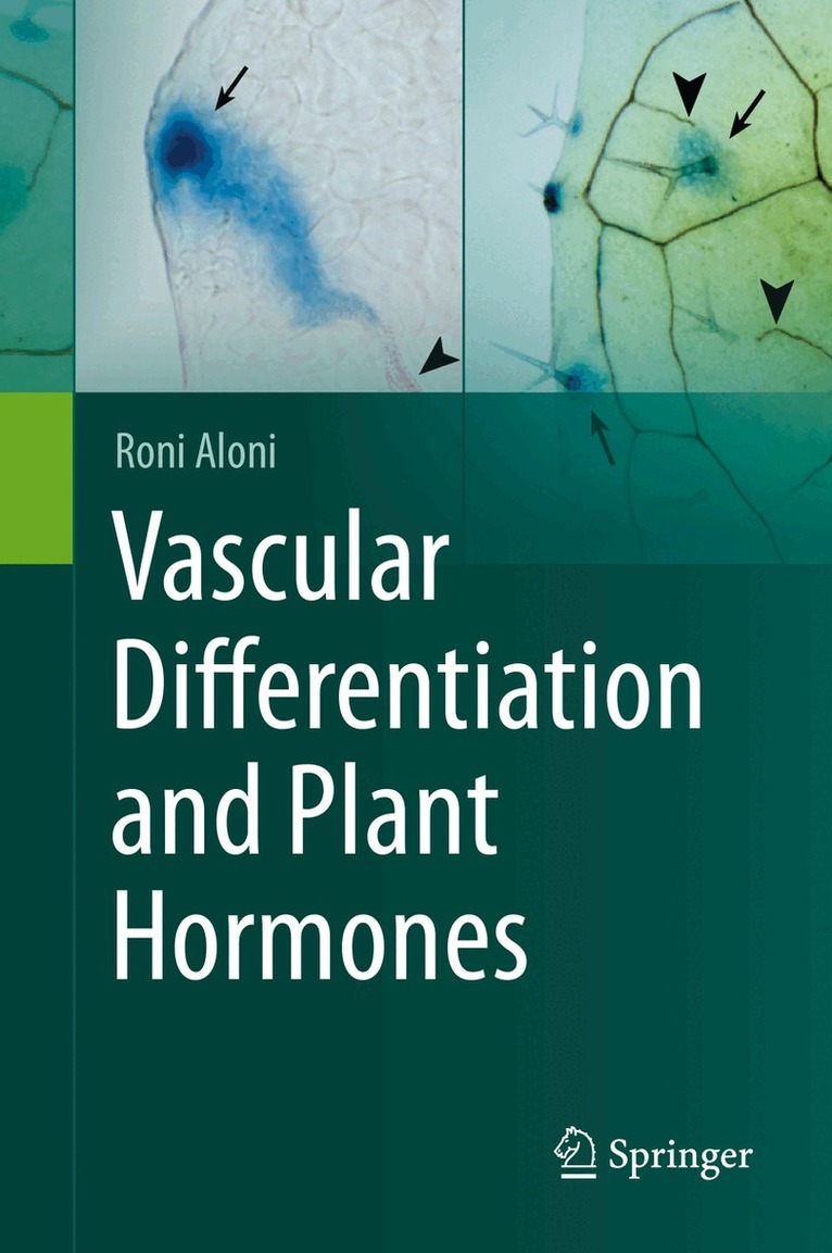 Roni Aloni - Vascular Differentiation and Plant Hormones, Inbunden