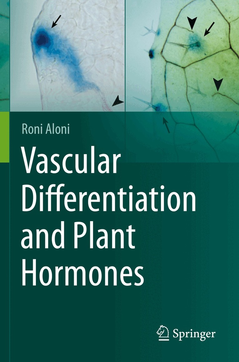 Roni Aloni - Vascular Differentiation and Plant Hormones, Häftad
