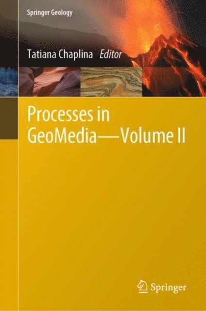 Tatiana Chaplina - Processes in GeoMedia - Volume II, E-bok