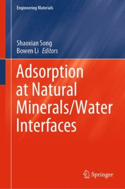 Bowen Li, Shaoxian Song - Adsorption at Natural Minerals/Water Interfaces, E-bok
