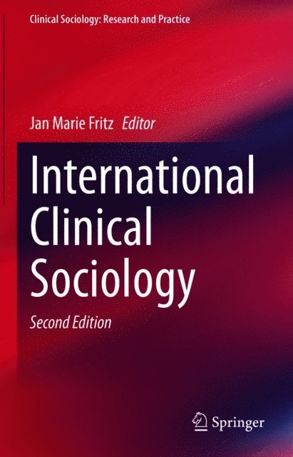 Jan Marie Fritz - International Clinical Sociology, E-bok