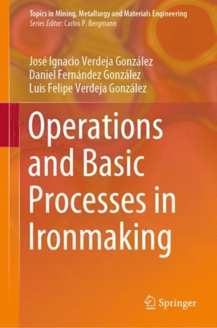 Luis Felipe Verdeja Gonzalez, Daniel Fernandez Gonzalez, Jose Ignacio Verdeja Gonzalez - Operations and Basic Processes in Ironmaking, E-bok