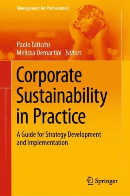 Melissa Demartini, Paolo Taticchi - Corporate Sustainability in Practice, E-bok