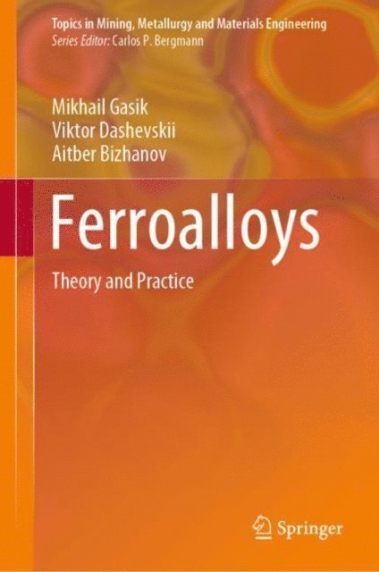 Aitber Bizhanov, Viktor Dashevskii, Mikhail Gasik - Ferroalloys, E-bok