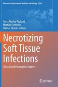 Necrotizing Soft Tissue Infections