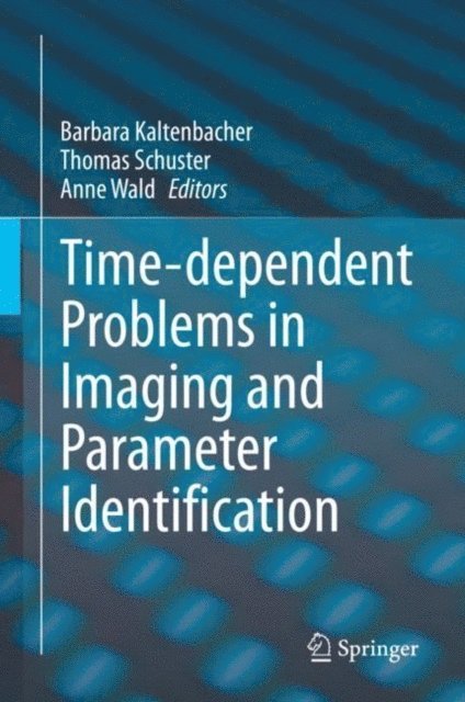 Anne Wald, Thomas Schuster, Barbara Kaltenbacher - Time-dependent Problems in Imaging and Parameter Identification, E-bok
