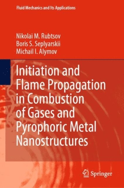 Michail I. Alymov, Boris S. Seplyarskii, Nikolai M. Rubtsov - Initiation and Flame Propagation in Combustion of Gases and Pyrophoric Metal Nanostructures, E-bok