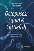 Octopuses, Squid & Cuttlefish