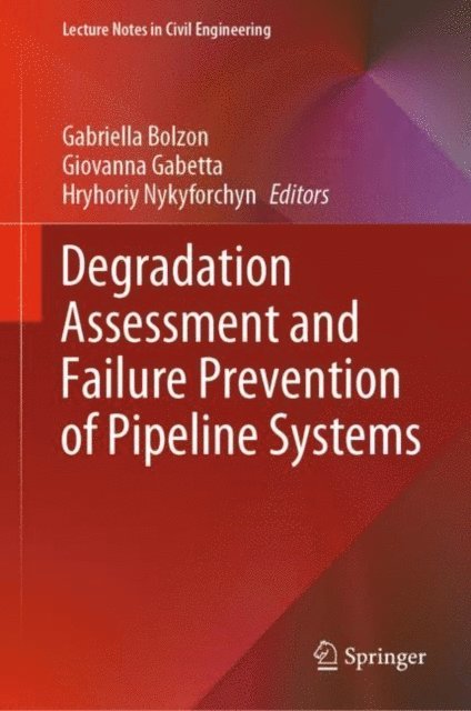 Hryhoriy Nykyforchyn, Giovanna Gabetta, Gabriella Bolzon - Degradation Assessment and Failure Prevention of Pipeline Systems, E-bok