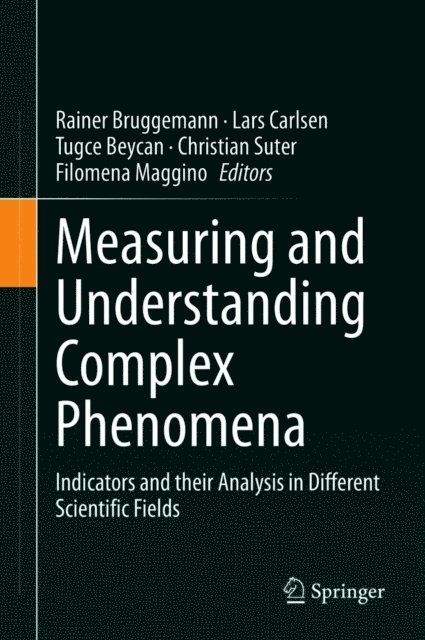 Filomena Maggino, Christian Suter, Tugce Beycan, Lars Carlsen, Rainer Bruggemann - Measuring and Understanding Complex Phenomena, E-bok