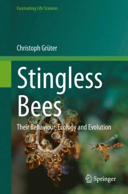 Christoph Gruter - Stingless Bees, E-bok