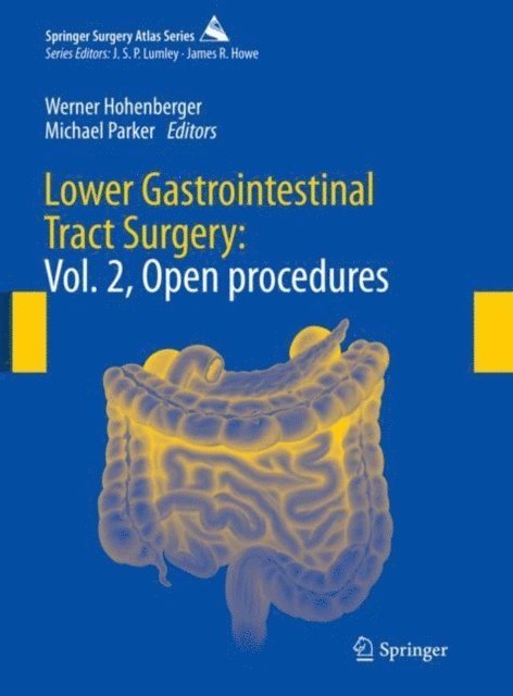 Michael Parker, Werner Hohenberger - Lower Gastrointestinal Tract Surgery, E-bok