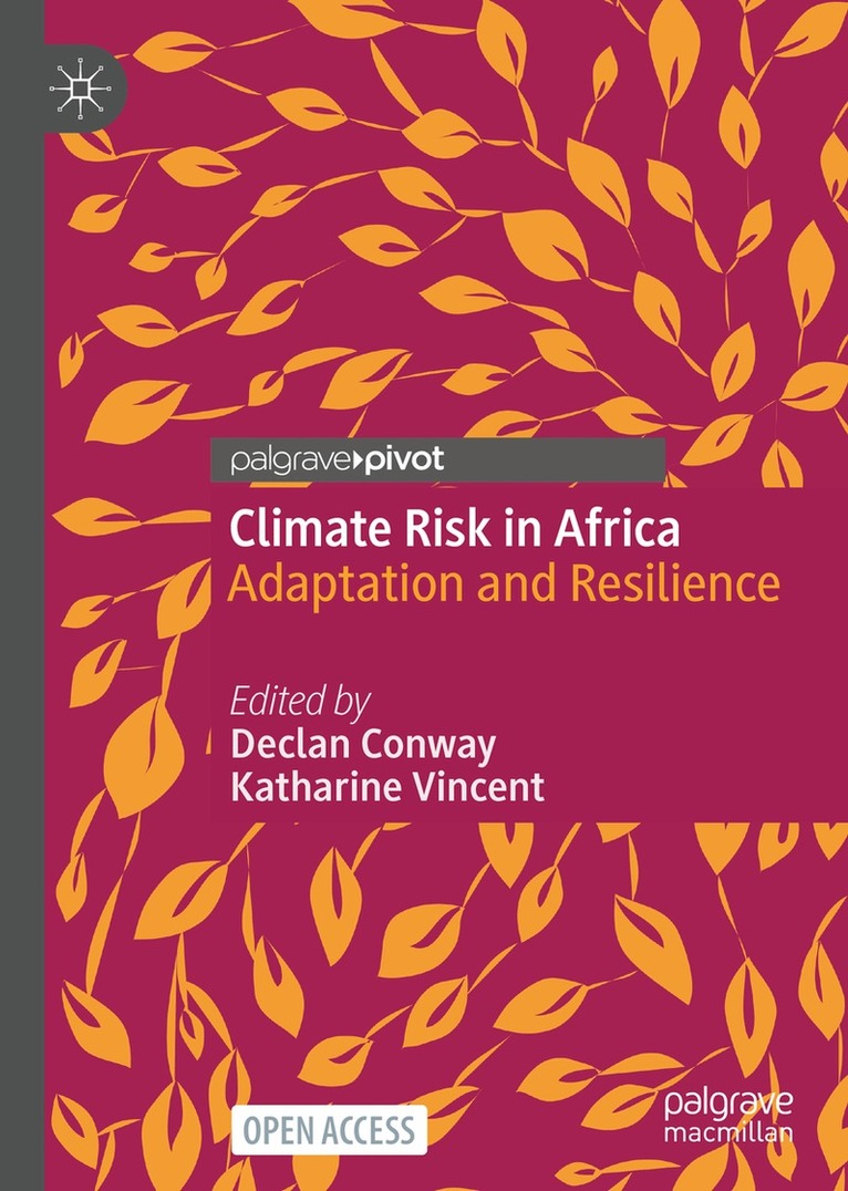 Declan Conway, Katharine Vincent - Climate Risk in Africa, Inbunden