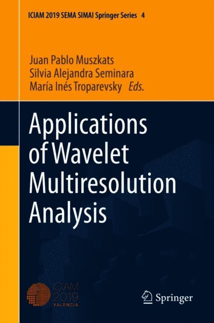 Maria Ines Troparevsky, Silvia Alejandra Seminara, Juan Pablo Muszkats - Applications of Wavelet Multiresolution Analysis, E-bok