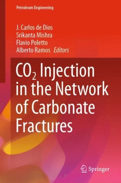Alberto Ramos, Flavio Poletto, Srikanta Mishra, J. Carlos de Dios - CO2 Injection in the Network of Carbonate Fractures, E-bok