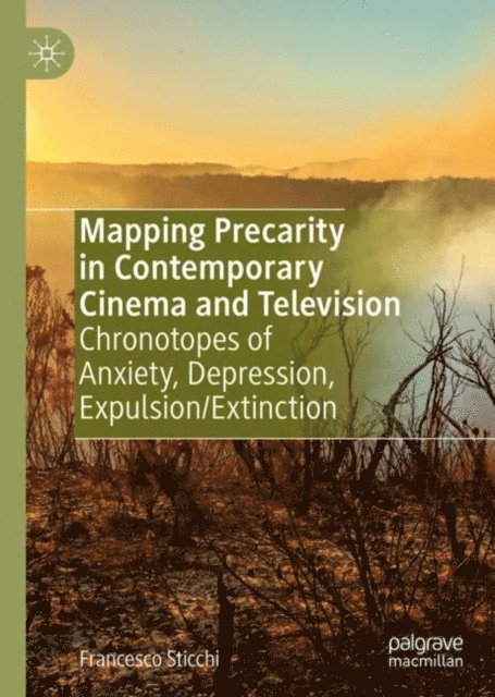 Francesco Sticchi - Mapping Precarity in Contemporary Cinema and Television, E-bok