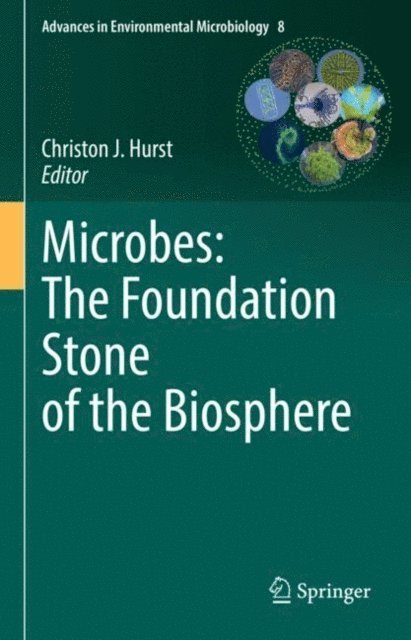 Christon J. Hurst - Microbes: The Foundation Stone of the Biosphere, E-bok