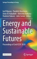 Energy and Sustainable Futures