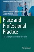 Place and Professional Practice