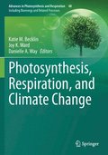 Photosynthesis, Respiration, and Climate Change