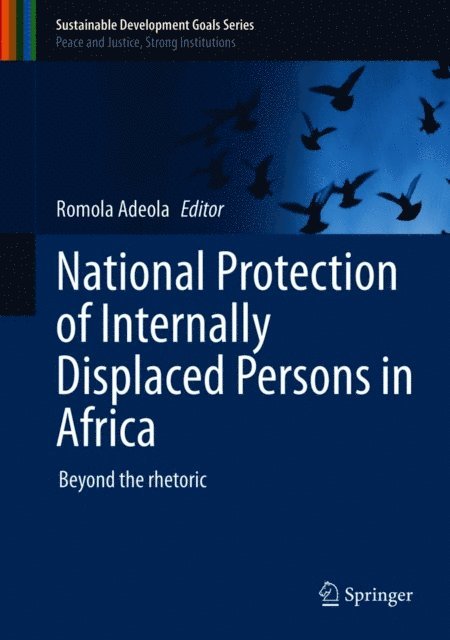 Romola Adeola - National Protection of Internally Displaced Persons in Africa, E-bok