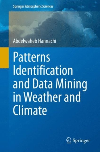 Abdelwaheb Hannachi - Patterns Identification and Data Mining in Weather and Climate, E-bok