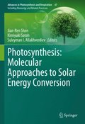 Photosynthesis: Molecular Approaches to Solar Energy Conversion