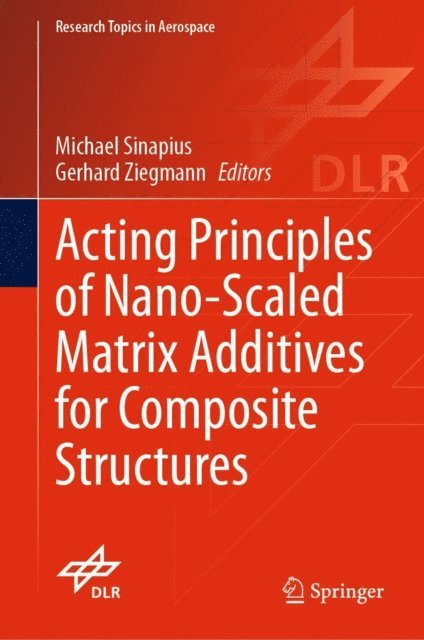 Gerhard Ziegmann, Michael Sinapius - Acting Principles of Nano-Scaled Matrix Additives for Composite Structures, E-bok