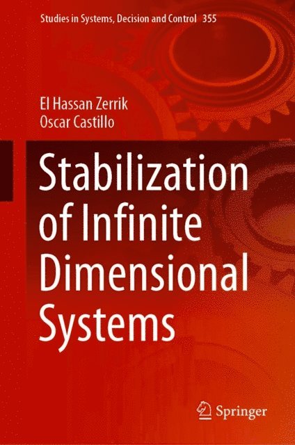 Oscar Castillo, El Hassan Zerrik - Stabilization of Infinite Dimensional Systems, E-bok