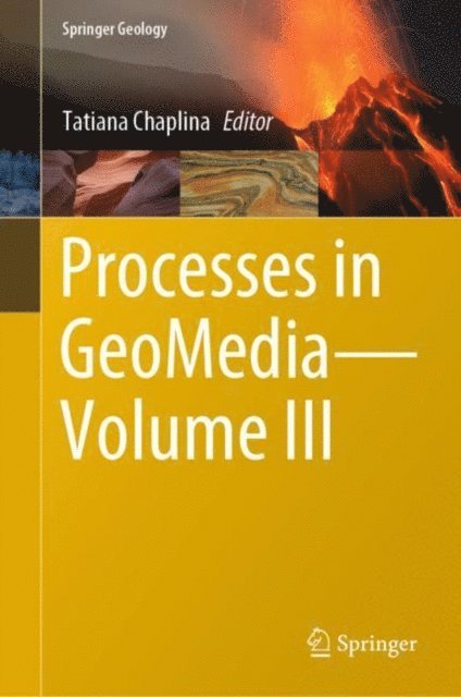 Tatiana Chaplina - Processes in GeoMedia-Volume III, E-bok