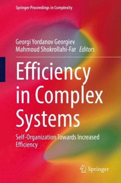 Mahmoud Shokrollahi-Far, Georgi Yordanov Georgiev - Efficiency in Complex Systems, E-bok