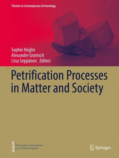Liisa Seppanen, Alexander Gramsch, Sophie Huglin - Petrification Processes in Matter and Society, E-bok