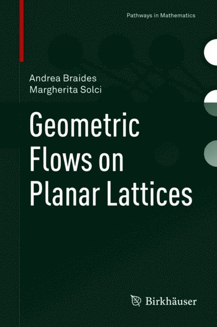 Margherita Solci, Andrea Braides - Geometric Flows on Planar Lattices, E-bok