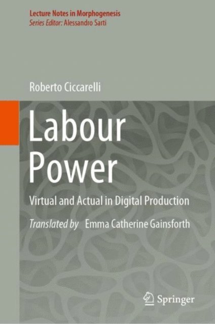 Roberto Ciccarelli - Labour Power, E-bok