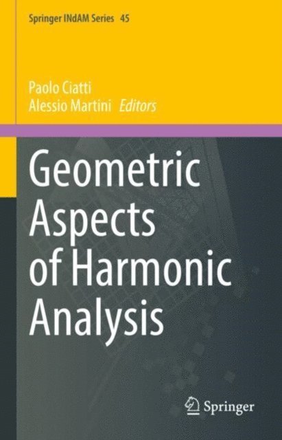 Alessio Martini, Paolo Ciatti - Geometric Aspects of Harmonic Analysis, E-bok