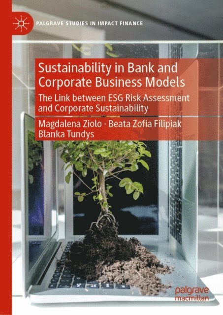 Blanka Tundys, Beata Zofia Filipiak, Magdalena Ziolo - Sustainability in Bank and Corporate Business Models, E-bok