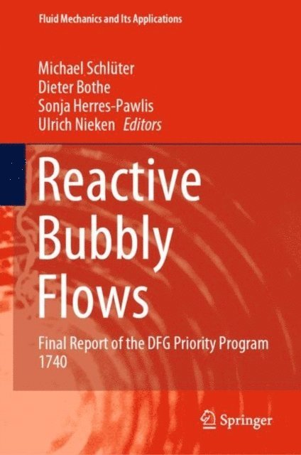 Ulrich Nieken, Sonja Herres-Pawlis, Dieter Bothe, Michael Schluter - Reactive Bubbly Flows, E-bok