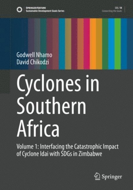 David Chikodzi, Godwell Nhamo - Cyclones in Southern Africa, E-bok
