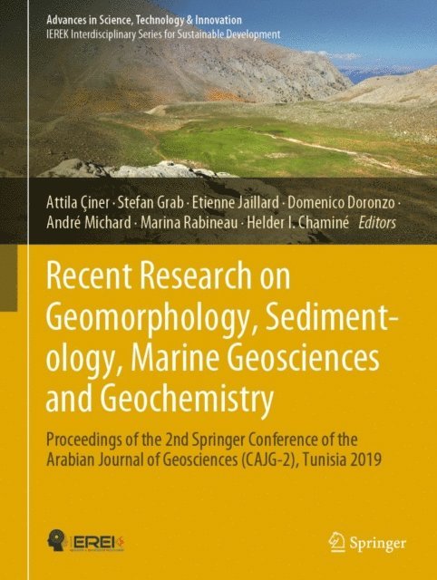 Helder I. Chamine, Marina Rabineau, Andre Michard, Domenico Doronzo, Etienne Jaillard, Stefan Grab, Attila Ciner - Recent Research on Geomorphology, Sedimentology, Marine Geosciences and Geochemistry, E-bok