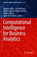 Computational Intelligence for Business Analytics