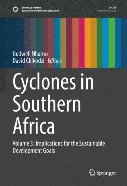 David Chikodzi, Godwell Nhamo - Cyclones in Southern Africa, E-bok