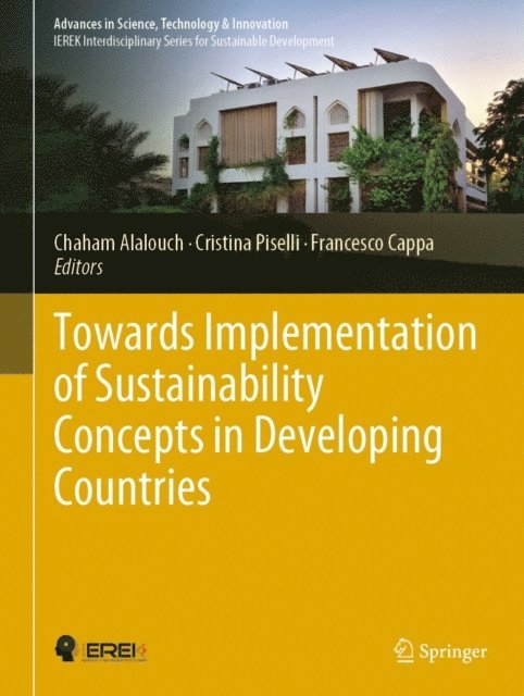 Francesco Cappa, Cristina Piselli, Chaham Alalouch - Towards Implementation of Sustainability Concepts in Developing Countries, E-bok